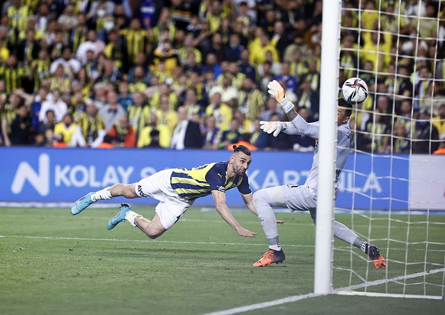 他的职业生 他的职业生