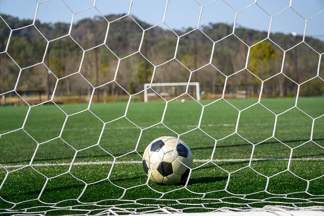 展示了他们 展示了他们