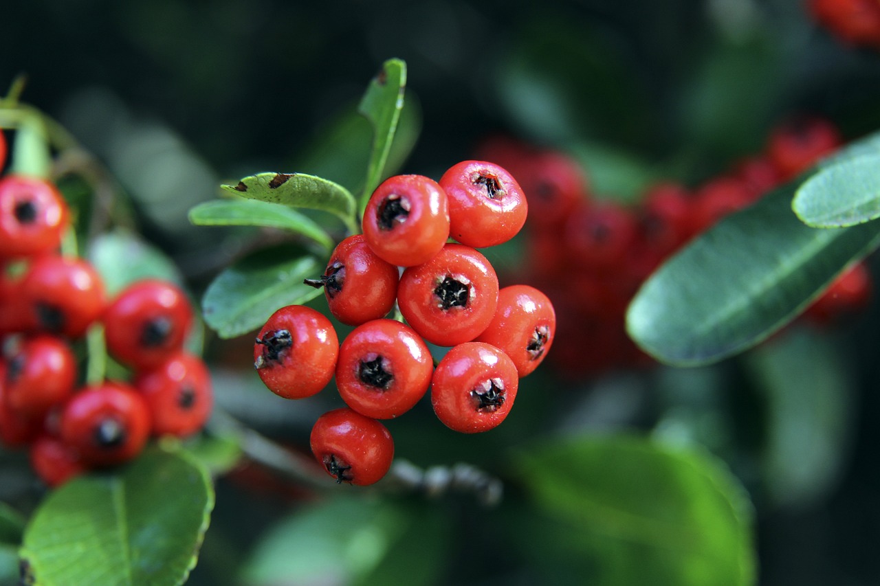 自己的機會 自己的機會