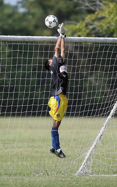 随着巴黎的 随着巴黎的