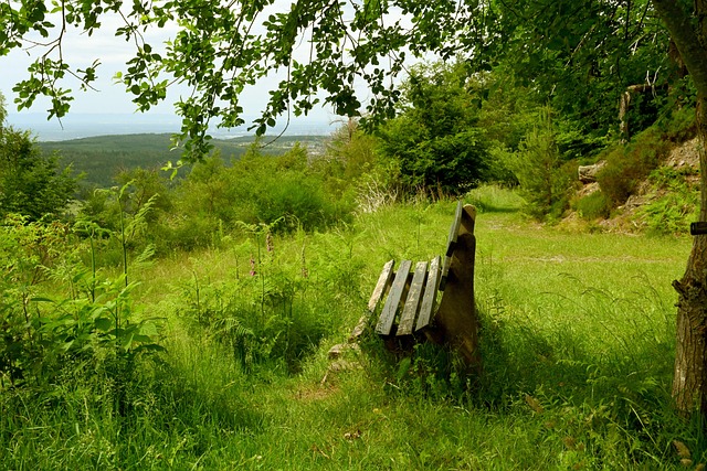 不仅仅是冷 不仅仅是冷