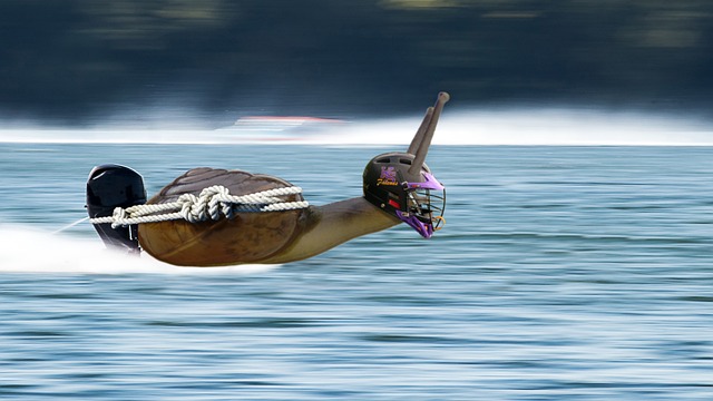Kurza